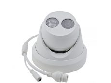 IP Cameras